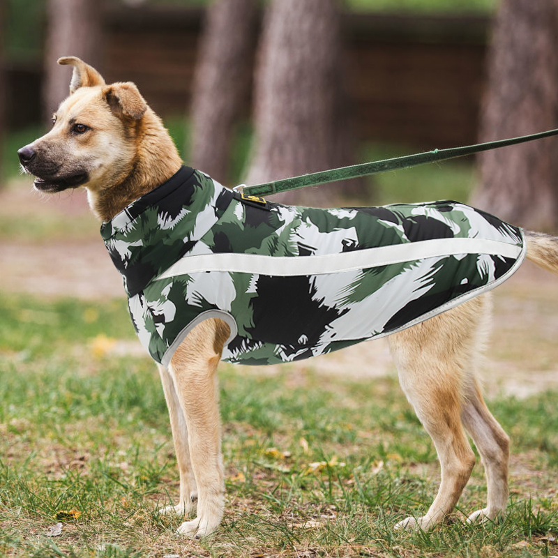 Shop Direct from the Factory for Waterproof Reflective <a href='/dog-cloth/'>Dog Cloth</a>ing - Perfect for Fall and Winter Travel!