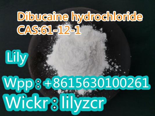 Propane, 1-phenyl-1-chloro-(2-methyl-2-chloroethyl)amine hydrochloride | C12H18Cl3N - PubChem
