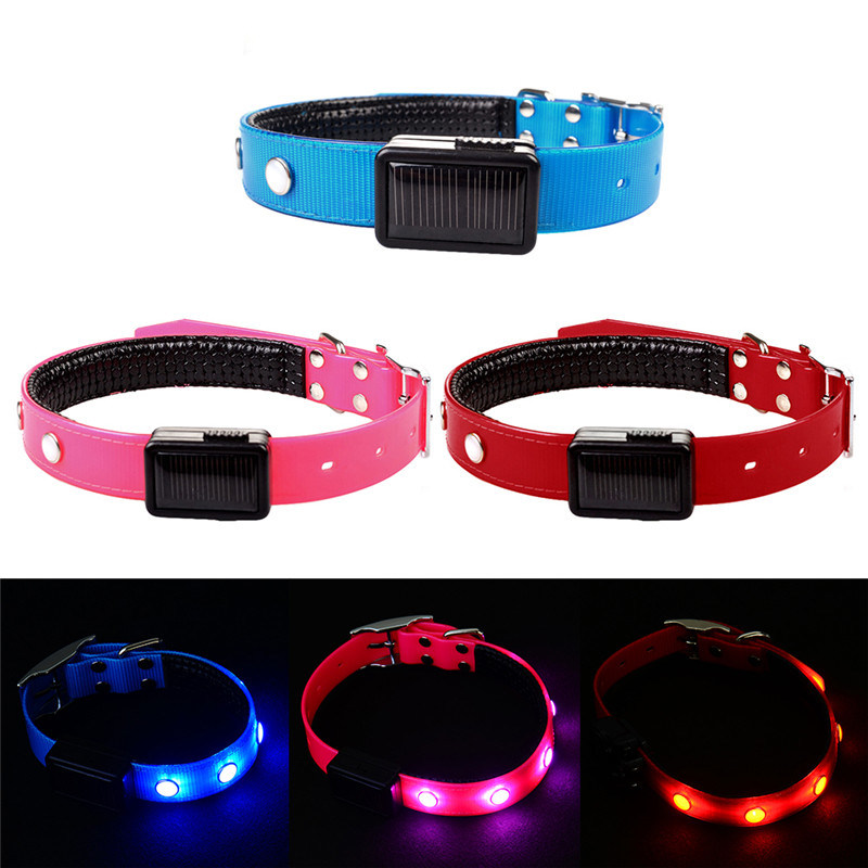 USB Rechargeable LED Dog Pet Collar Flashing Luminous Safety Night Light Up UK for Sale - Petpeoplesplace.com