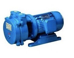 water ring Vacuum <a href='/pump/'>Pump</a> Lubricated with Oil Palette <a href='/rotary-vacuum-pump/'>Rotary Vacuum Pump</a>s products - China products exhibition,reviews - Hisupplier.com