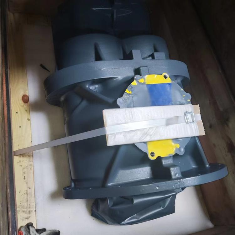 China Rotary Piston Vacuum Pump, Roots Vacuum Pump, <a href='/dry-screw-vacuum-pump-supplier/'>Dry Screw Vacuum Pump Supplier</a> - Development Vacuum Equipment (Sanmen) Co., Ltd.