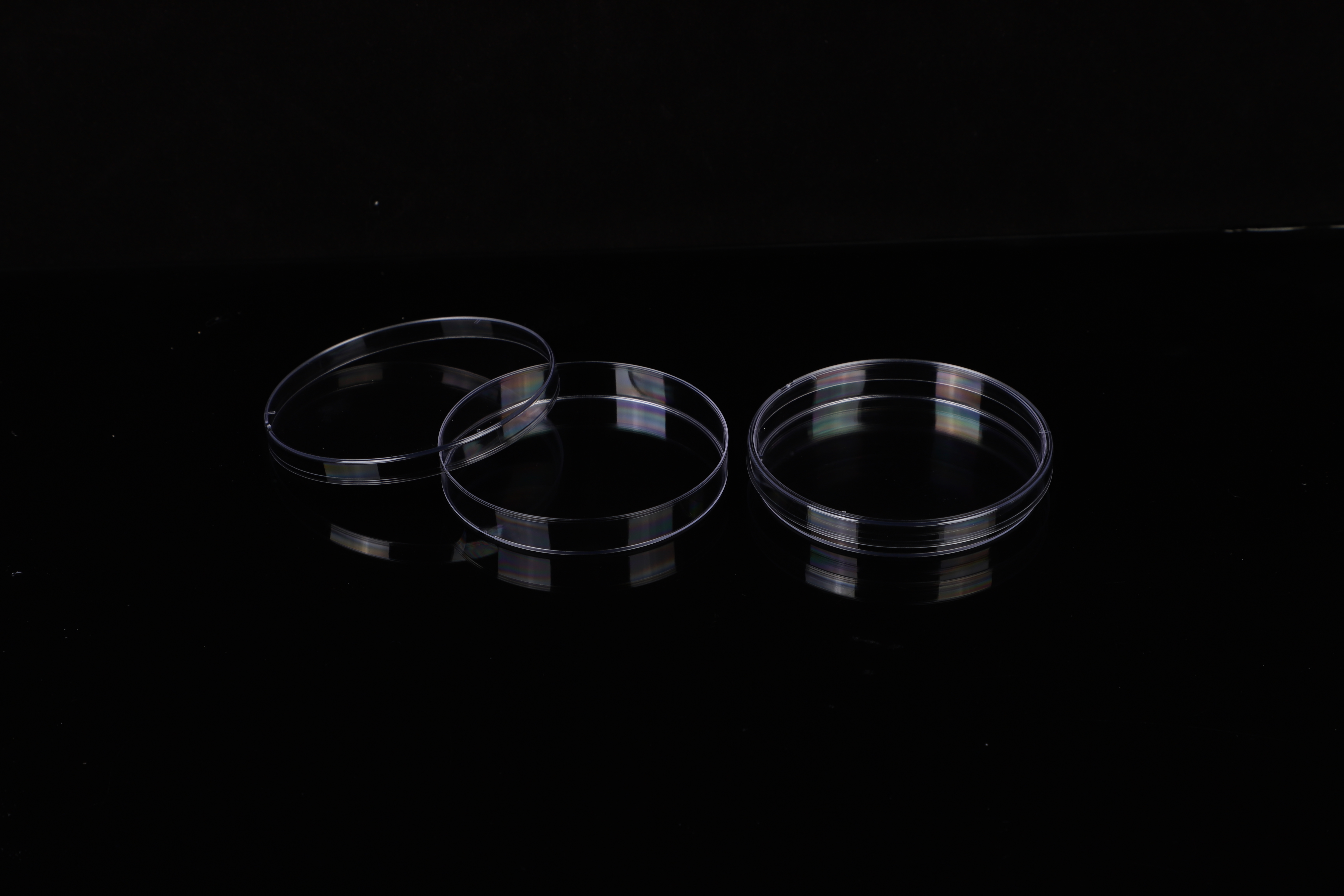 Factory-Made Transparent Petri Dishes with Lids for Efficient Culturing