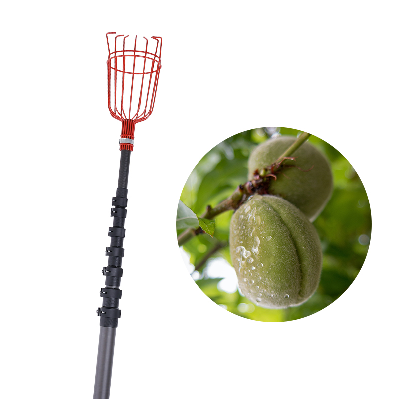 Buy Direct From Factory: 10m Carbon Fiber Telescopic Fruit Picking Pole -  High Quality, Affordable Price!