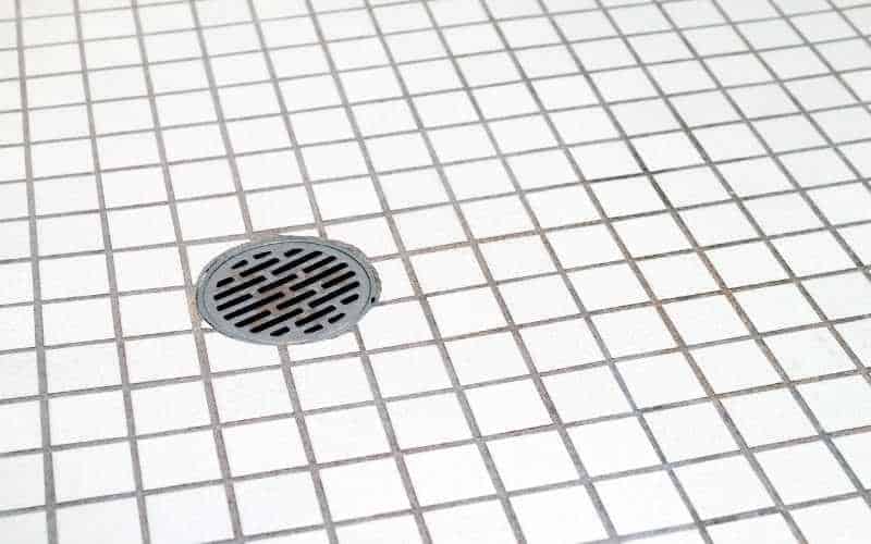 <a href='/shower-floor-channel/'>Shower Floor Channel</a> - Clear | Sandleford