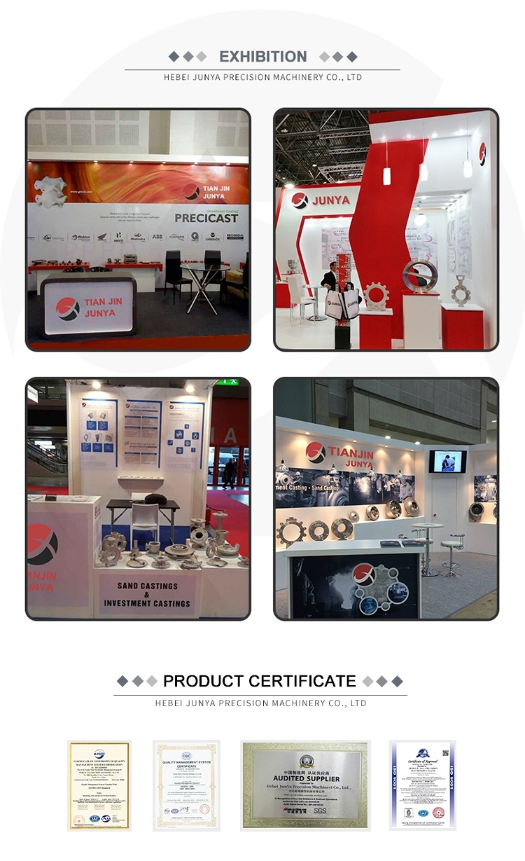 Customized Graphics MIM Stainless Steel Machine/Gun Parts