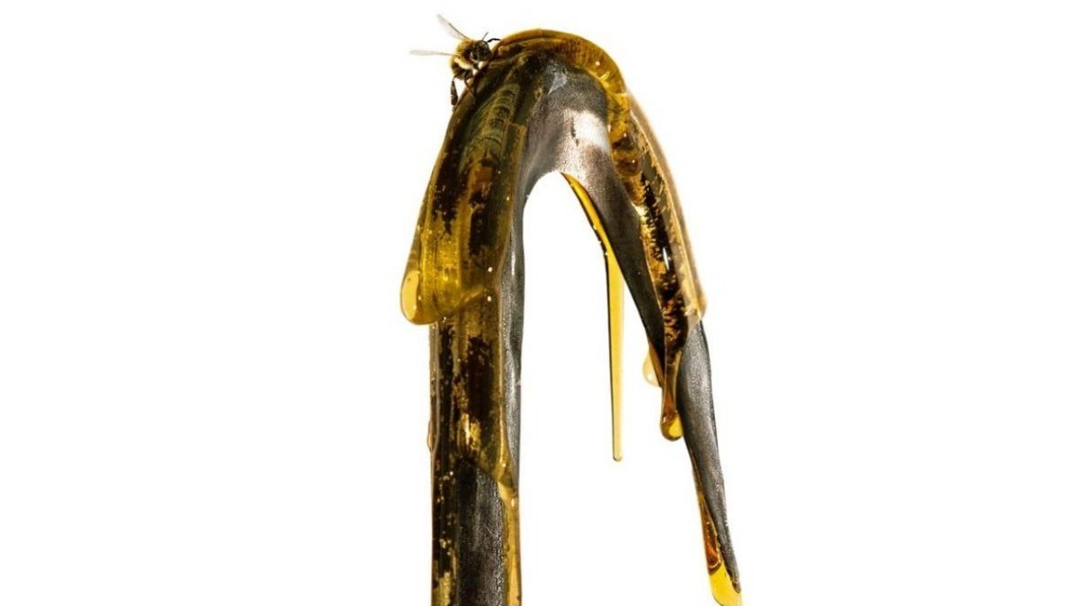 Treadmills News and Updates from The Economic Times - Page 5