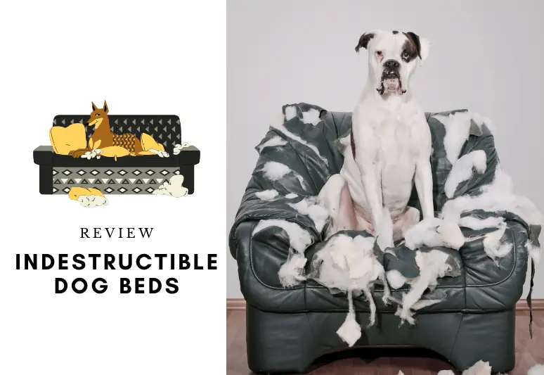 Durable Dog Beds Chew Proof Bed Frame Feet  Monthlycrescent