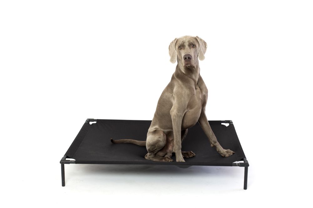 Durable Dog <a href='/bed/'>Bed</a>s Chew Proof Bed Frame Feet  Monthlycrescent