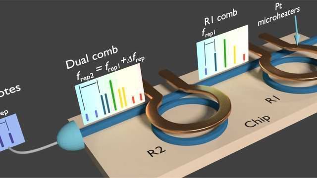 Dual-frequency CARS Excitation Source with Two Independent-Tunable Stokes Wavelengths using PM-PCF and Vector Adjustment - IEEE Journals & Magazine