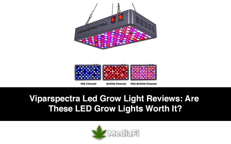 Best Marijuana LED Grow Lights Reviews | Best LED Grow Lights