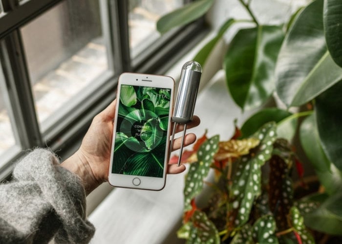 Wi-Fi Plant Sensor Tells You When Your Houseplants Need Water