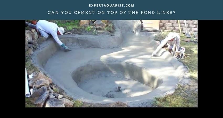 <a href='/pond-liner/'>Pond Liner</a> at The Pond Guy