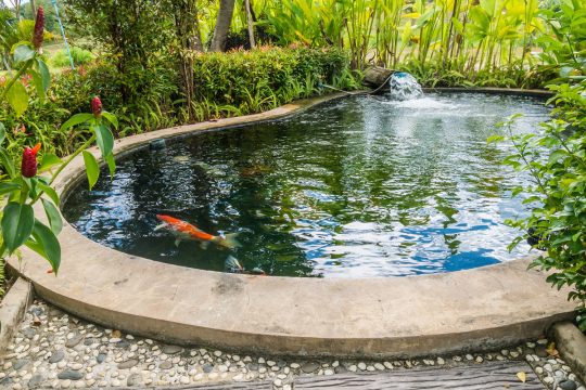 <a href='/fish-pond/'>Fish Pond</a>s Liners For Sale #4 - Large Round Pond Liners Round Raised Koi Pond Liner     #134611 GARDEN DESIGN | LITE937 Home Solutions (16-Oct-18 16:24:13)