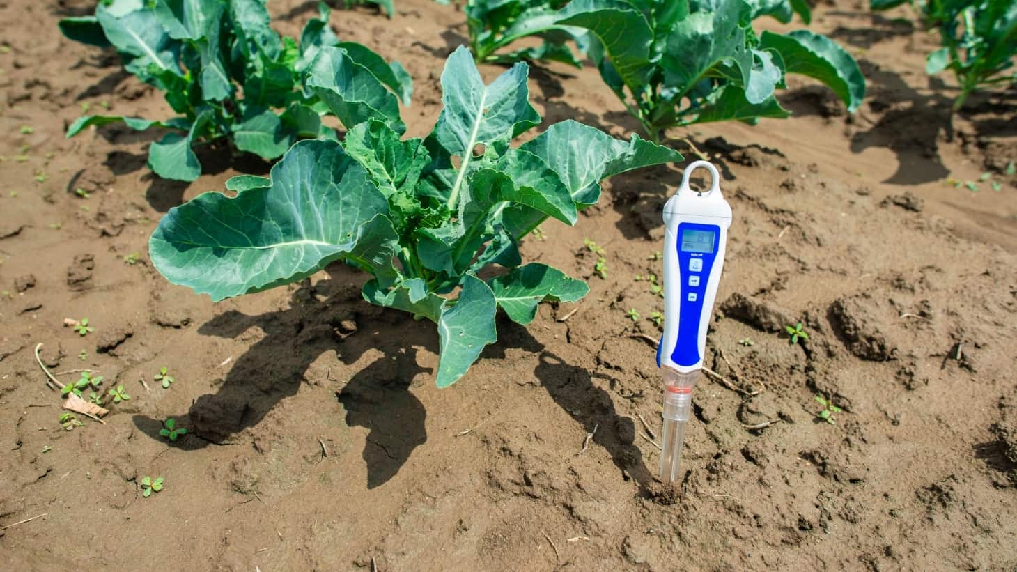 New Soil Health test Kit from OSUE | No-Till Farmer