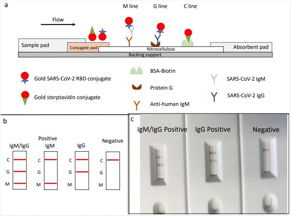 Rapid SARSCoV2 IgMIgG combined antibody test