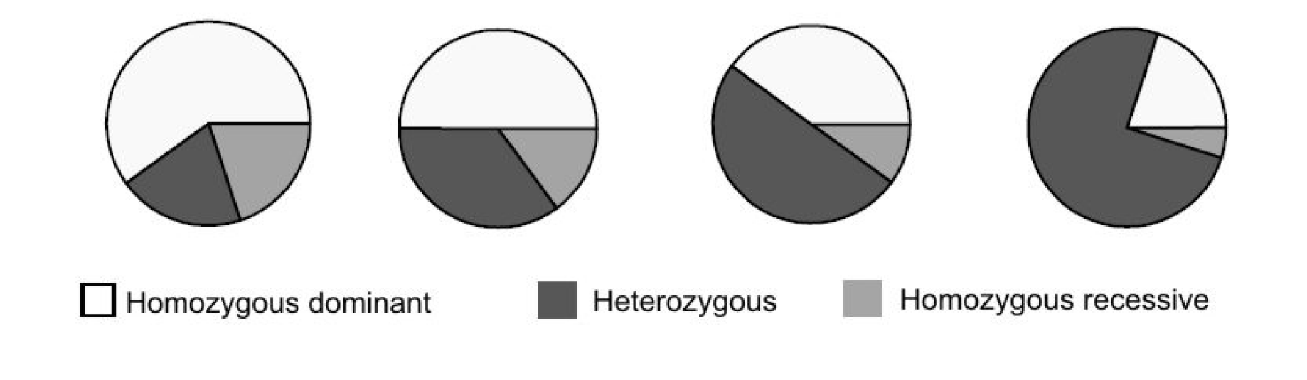 The comparative population genetics of Neisseria meningitidis and Neisseria gonorrhoeae [PeerJ]