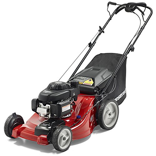 Troy-Bilt 150 MPH 1000 CFM 208 cc Walk-Behind Gas Blower with 90-Degree Front Discharge Chute-TB672 - The Home Depot