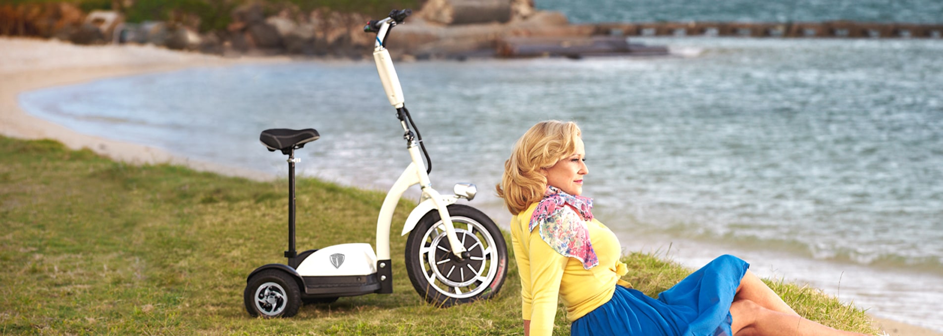 3 Wheel Electric Scooter Three Wheel Electric ScooterElectric Scooters for Adults  3 Wheel