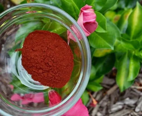 China Haematococcus Pluvialis Powder / Astaxanthin Powder 4% Plant Extract Health Food Additive Herbal Extract - China Haematococcus Pluvialis, Astaxanthin