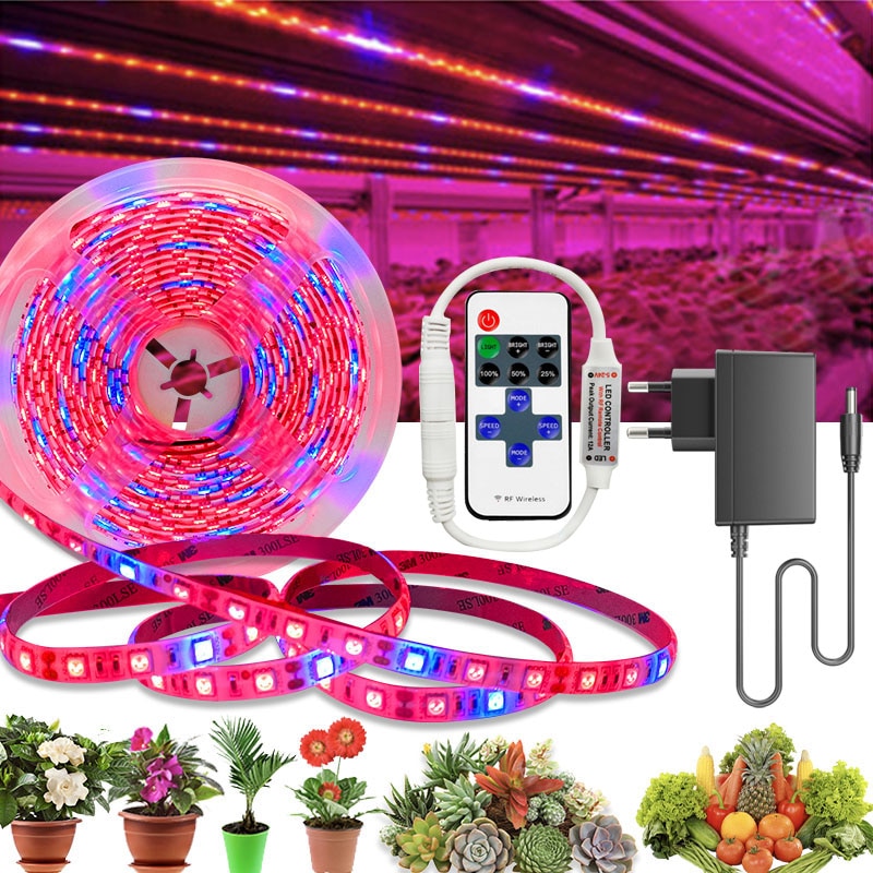 Led Strip Lights Full Spectrum Plant Grow Lights 5m /Roll 300 Leds 5050 Chip Fitolampy Waterproof For Indoor Greenhouse Hydroponic Plants Grow Lights For Sale Low Voltage <a href='/garden-lights/'>Garden Lights</a> From Efwsssss, $17.34| DHgate.Com