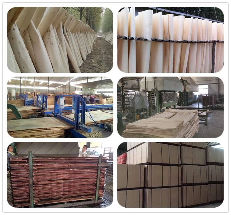 plywood  factory