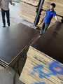 waterproof mdf board-melamine faced plywood | Teehome <a href='/melamine-board/'>Melamine Board</a>