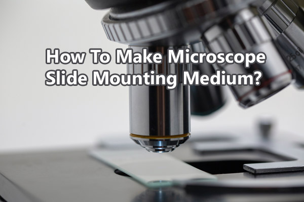 Mounting medium | definition of mounting medium by Medical dictionary