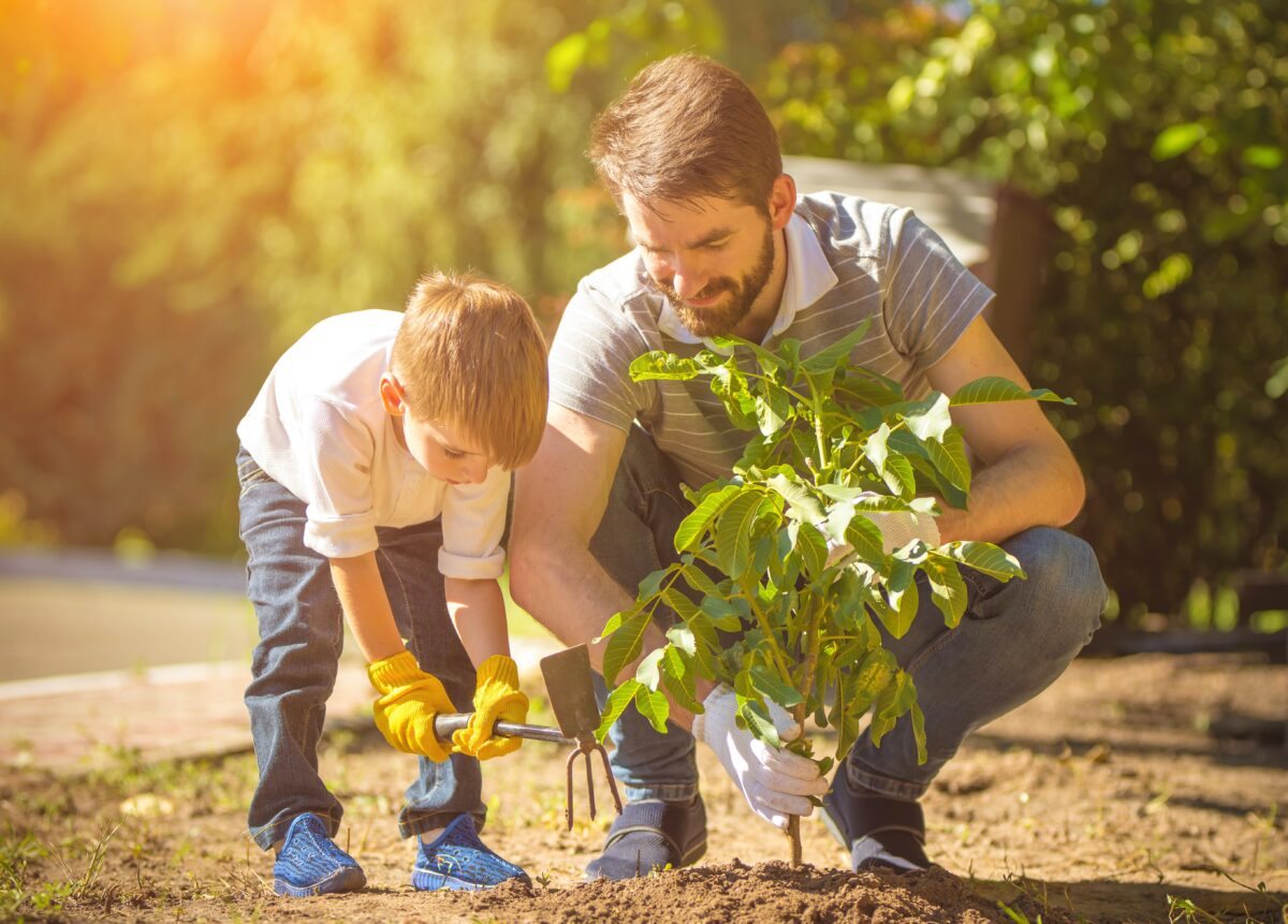 Add gutter drainage | Home and Garden | napavalleyregister.com