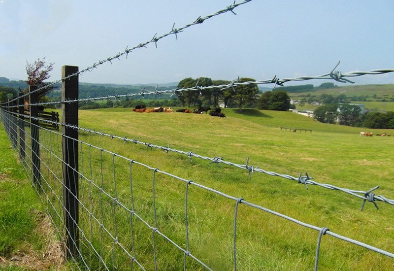 cattle fence