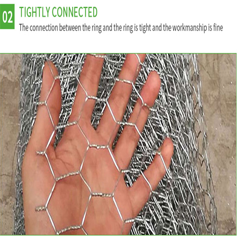 hexagonal wire netting21