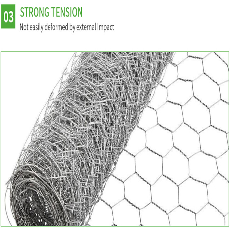 hexagonal wire netting22