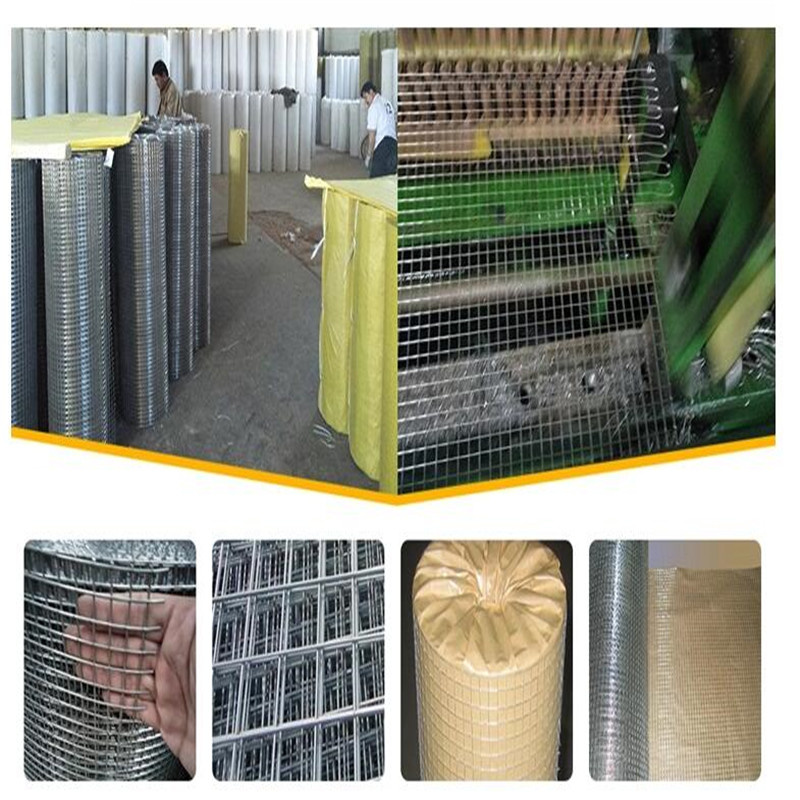 ss welded wire mesh 20