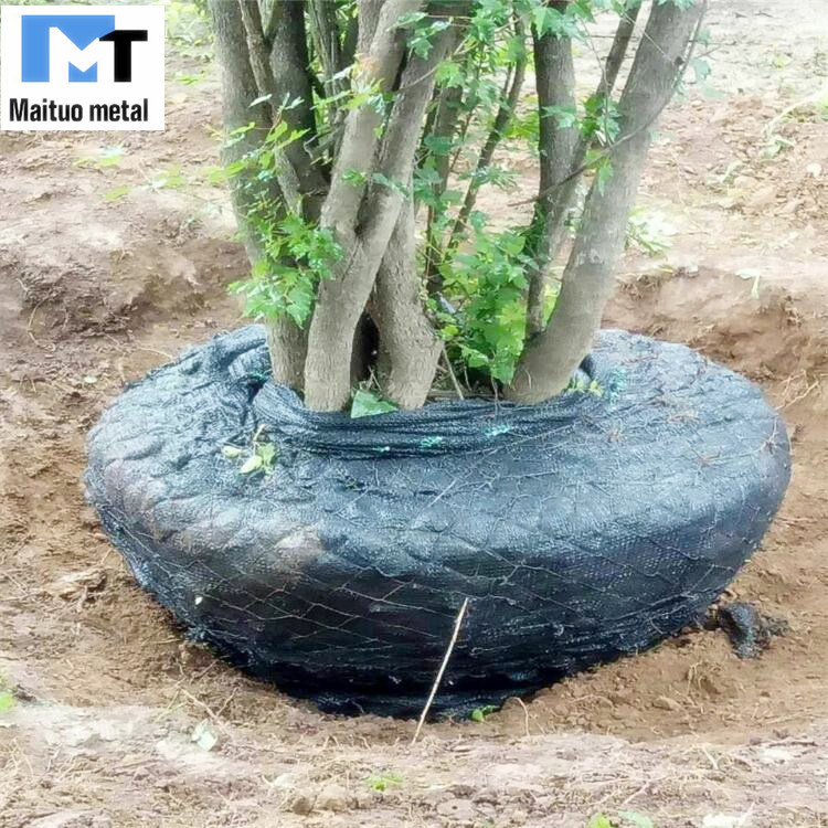 Removing Tree Root Protection Mesh