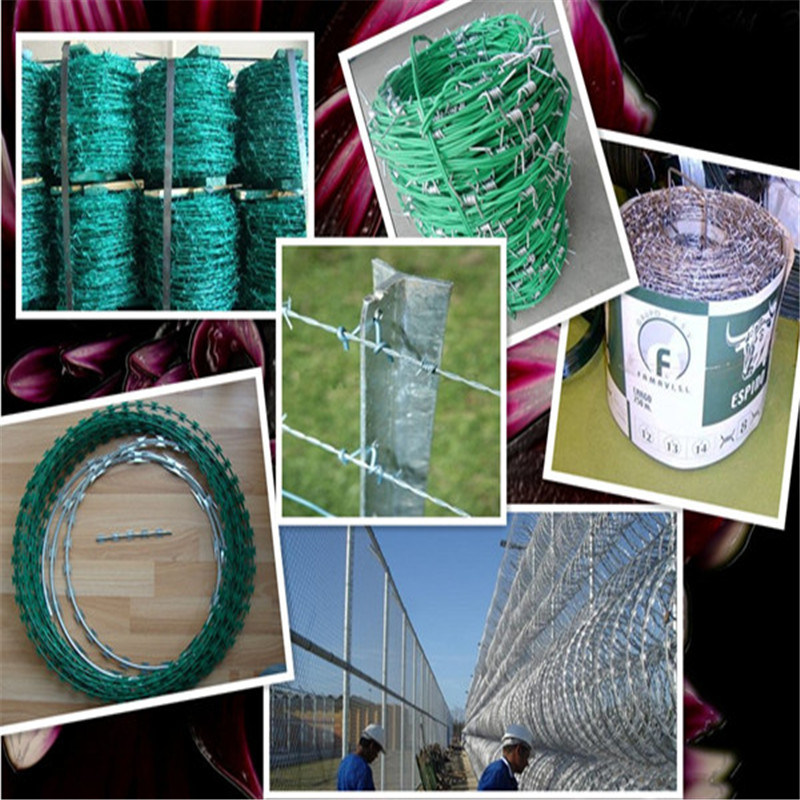 Hot Dipped Galvanized Barbed Wire 25kgs/Roll