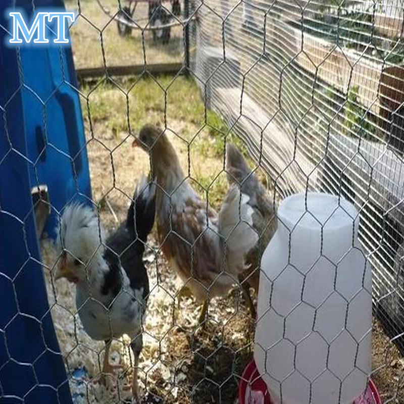 Chicken Wire Mesh with Hexagonal Netting