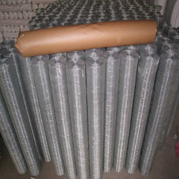 Galvanized Wire Mesh for Screen (XA-SM005)