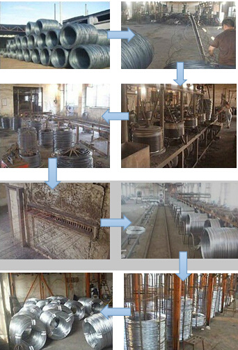 Anping Xinao Galvanized Steel Wire Price (MT-GW016)