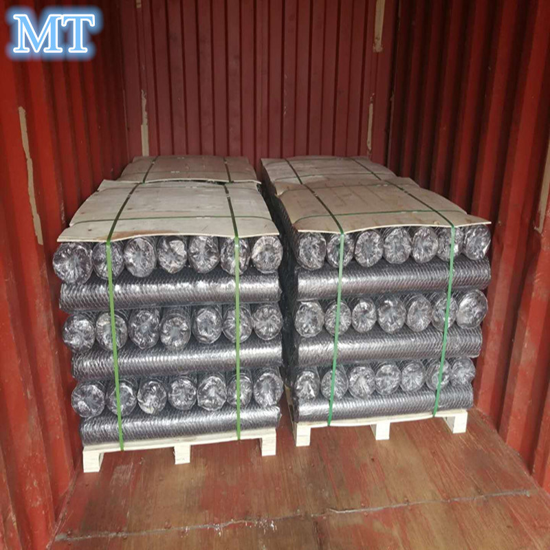 Hexagonal Wire Mesh Form China