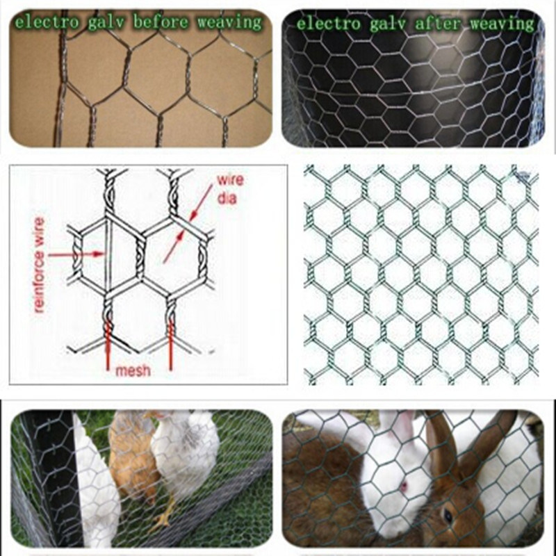 Chicken Wire Mesh with Hexagonal Netting