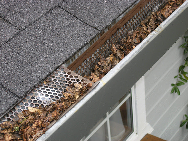 Stainless Steel Gutter Guards Amazing Micro Mesh Screen All American Protection Home Interior 26 - etrevusurleweb