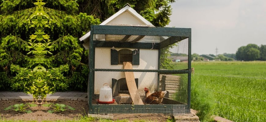 Clear Wind Break Kit for Chicken Fencing | Eglu Coop Weather Protection