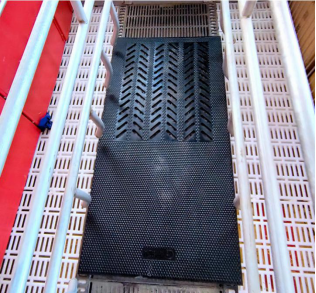 Sow Piglet anti-slip Rubber Mat1500