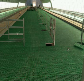 Sheep goat PVC PP plastic slat floor (1)2005