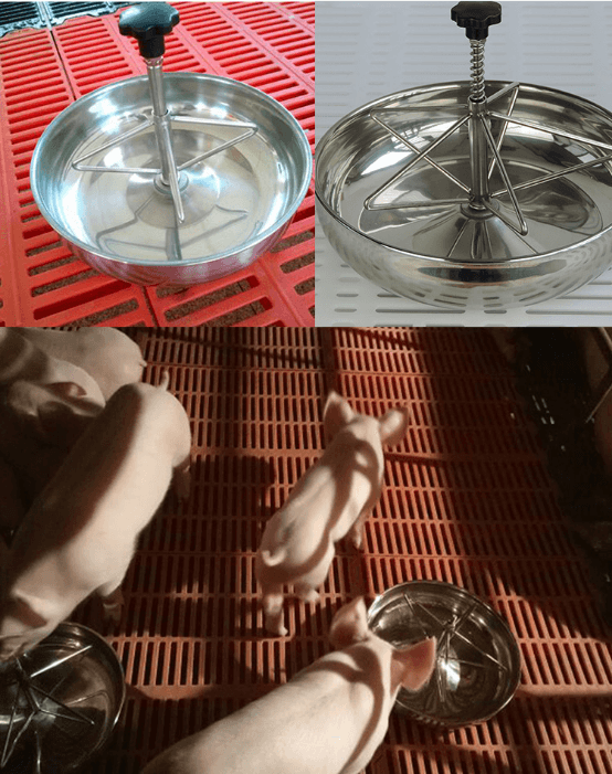 Stainless steel piggery feed bowl2213