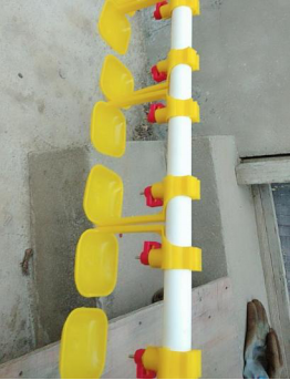 Poultry suspension chicken water cups1476