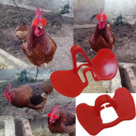 Chicken protective eyeglass (1)1563