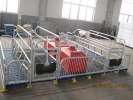 PP plastic pig farming slatted floor1411