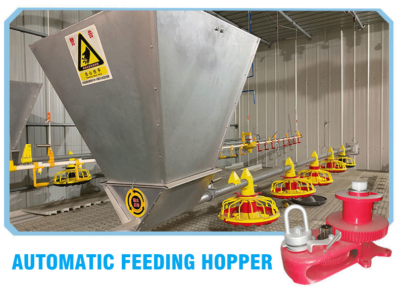 Automatic Chicken Feeding System (5)