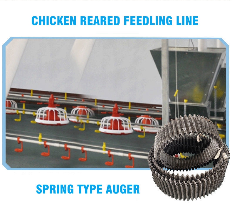 Automatic Chicken Feeding System (7)