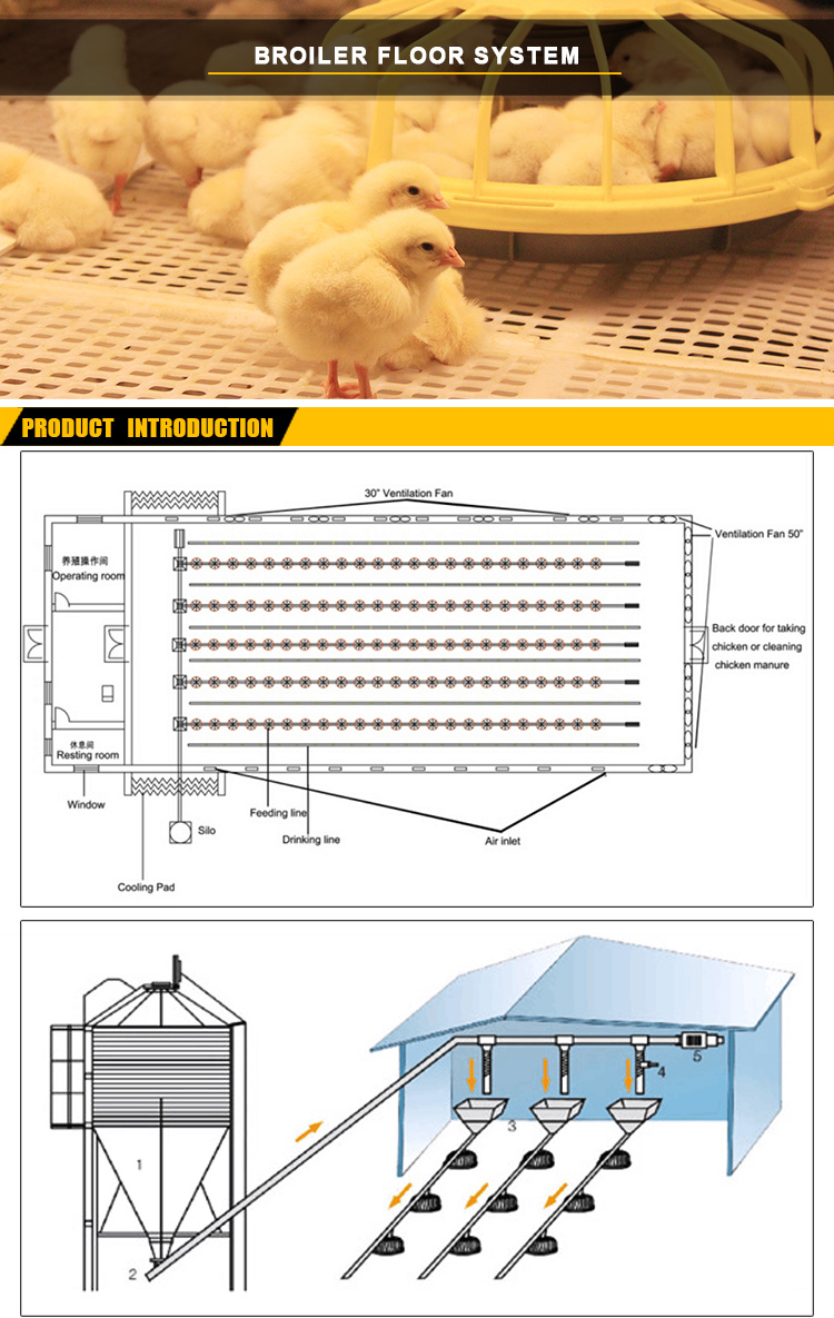 Poultry farm feeding system (2)